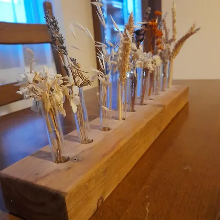 Appartamento Vivero